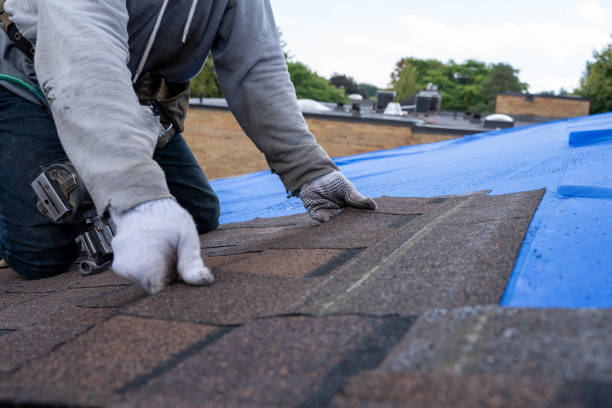Best Roof Gutter Cleaning  in Bayshe, OR